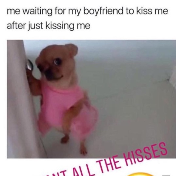 Meet your Posher, Isis - Picture 1 of 1